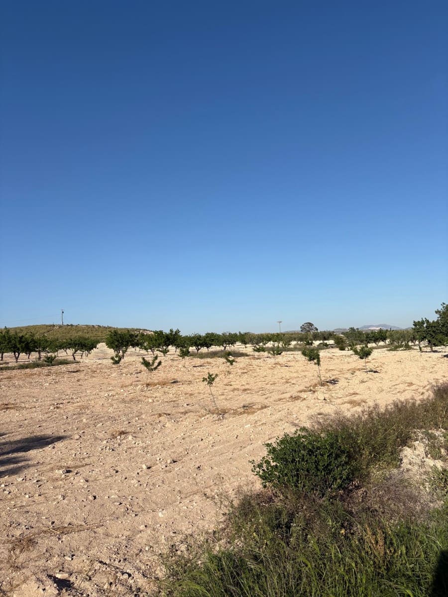 6 sypialnia Finka/Dom wiejski na sprzedaż w Jumilla z basenem - 95 000 € (Ref: 3229601)