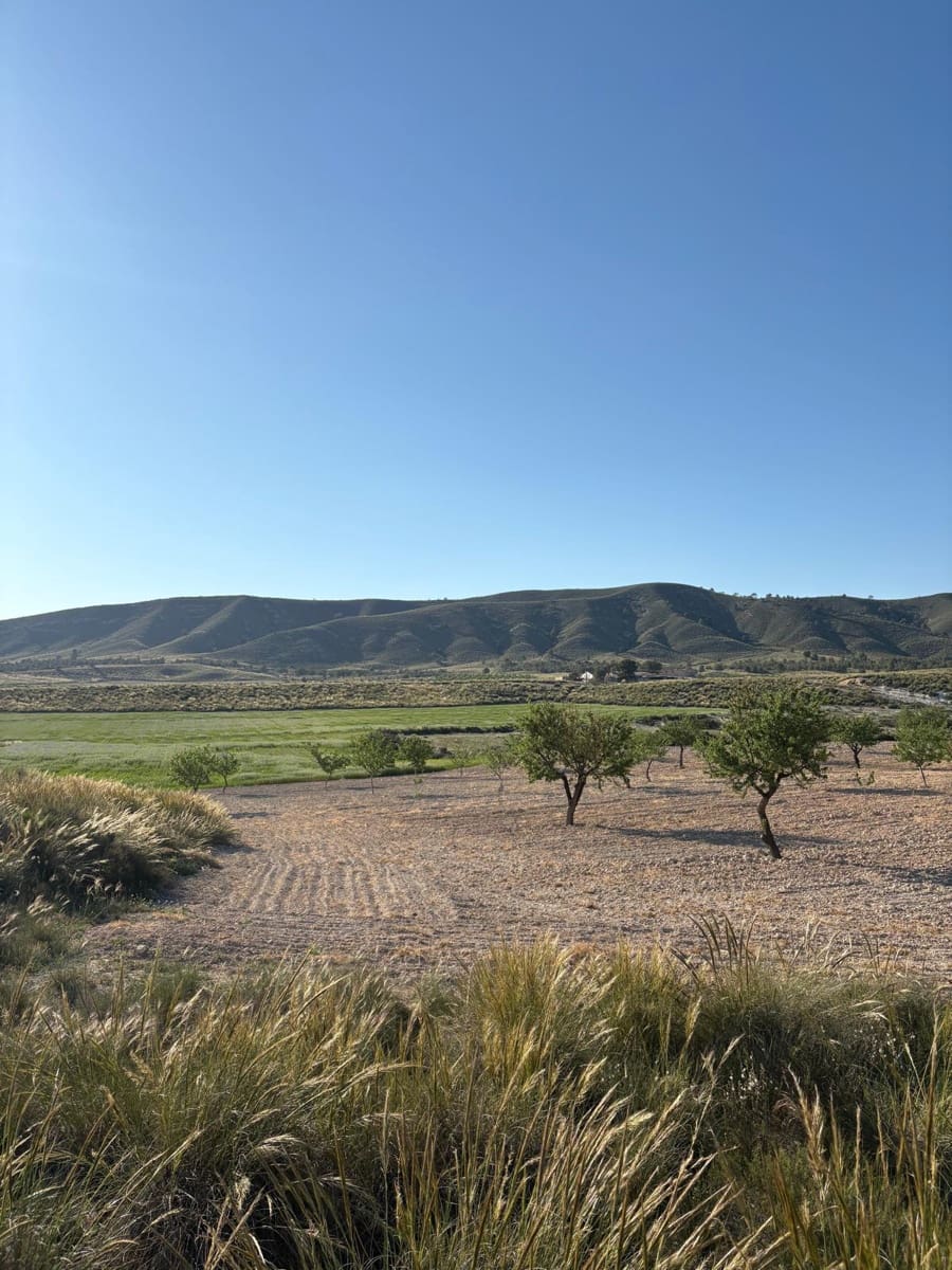 6 sypialnia Finka/Dom wiejski na sprzedaż w Jumilla z basenem - 95 000 € (Ref: 3229601)