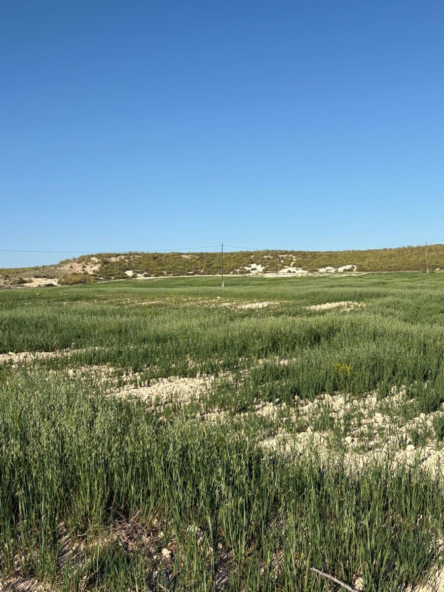 6 sypialnia Finka/Dom wiejski na sprzedaż w Jumilla z basenem - 95 000 € (Ref: 3229601)