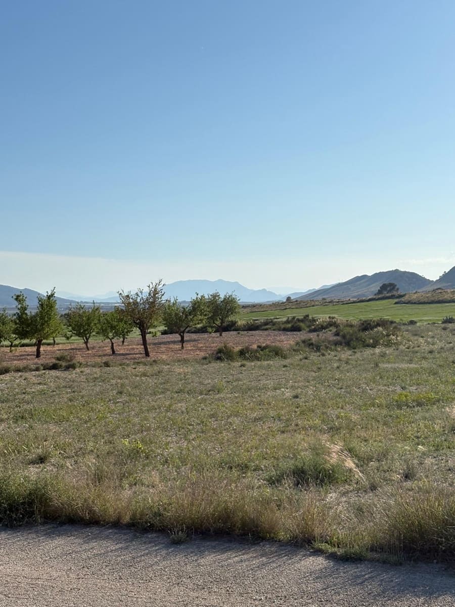 6 sypialnia Finka/Dom wiejski na sprzedaż w Jumilla z basenem - 95 000 € (Ref: 3229601)