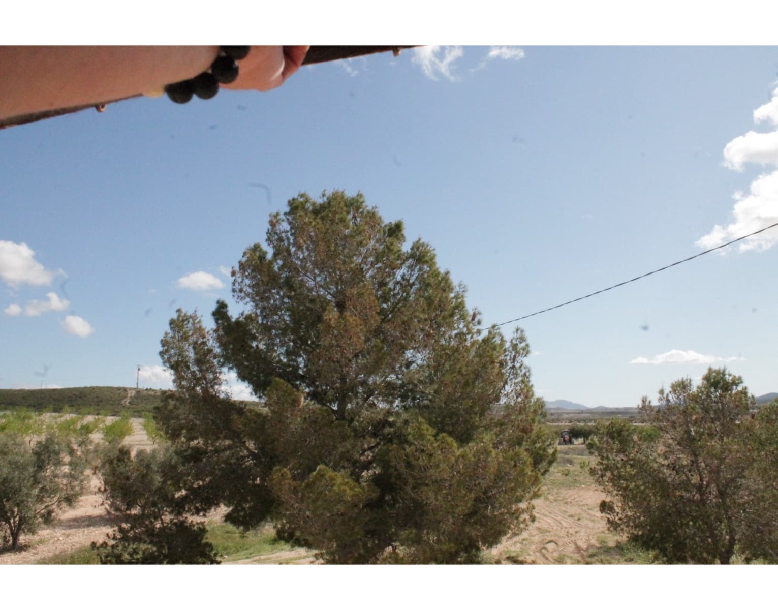 6 sypialnia Finka/Dom wiejski na sprzedaż w Jumilla z basenem - 95 000 € (Ref: 3229601)