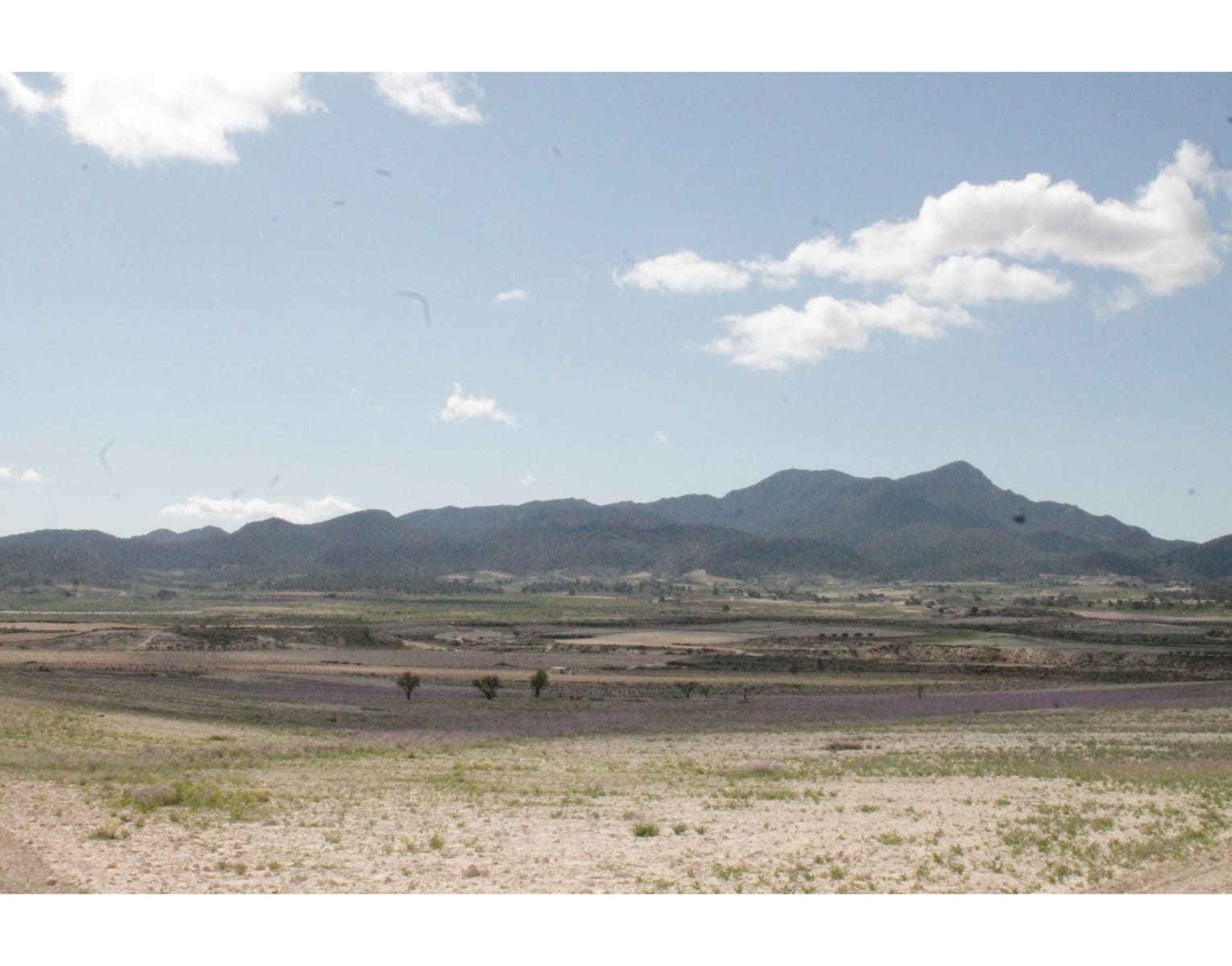 6 sypialnia Finka/Dom wiejski na sprzedaż w Jumilla z basenem - 95 000 € (Ref: 3229601)