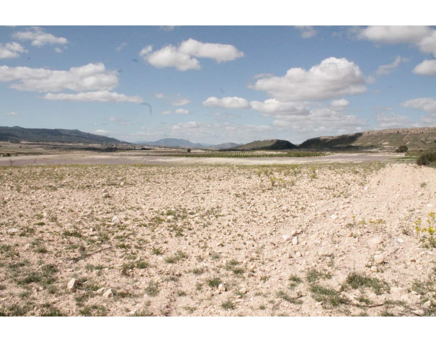 6 sypialnia Finka/Dom wiejski na sprzedaż w Jumilla z basenem - 95 000 € (Ref: 3229601)