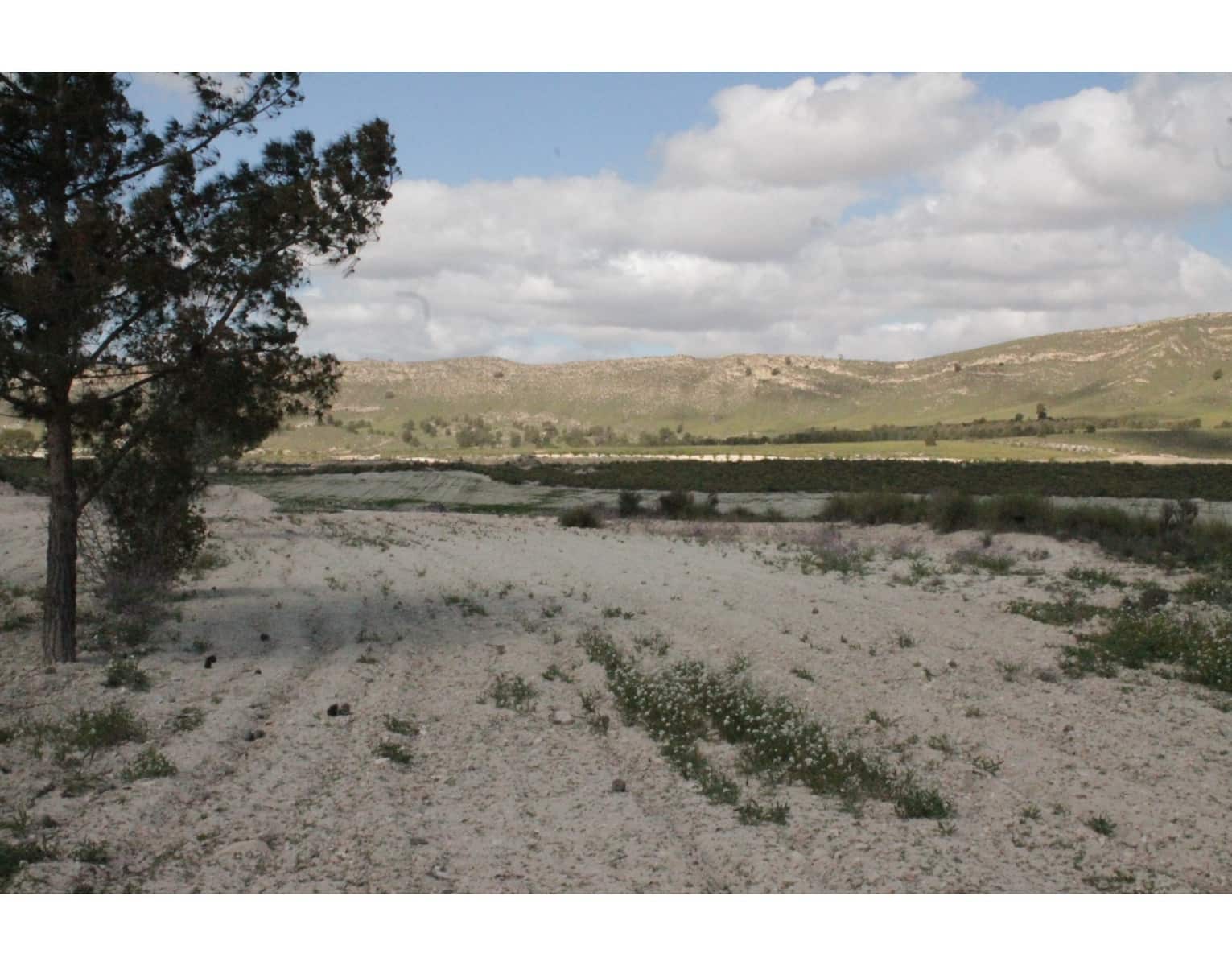 6 sypialnia Finka/Dom wiejski na sprzedaż w Jumilla z basenem - 95 000 € (Ref: 3229601)