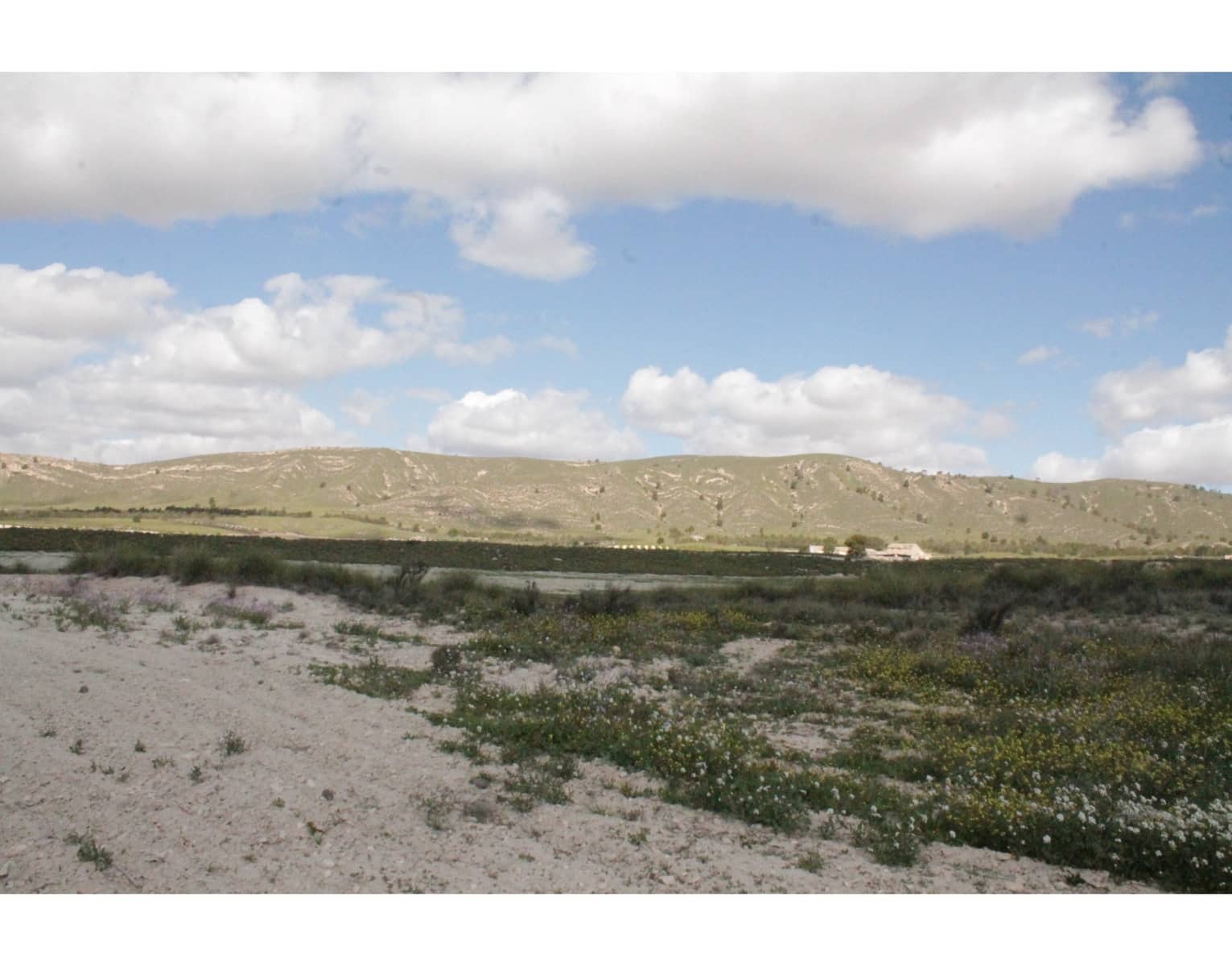 6 sypialnia Finka/Dom wiejski na sprzedaż w Jumilla z basenem - 95 000 € (Ref: 3229601)