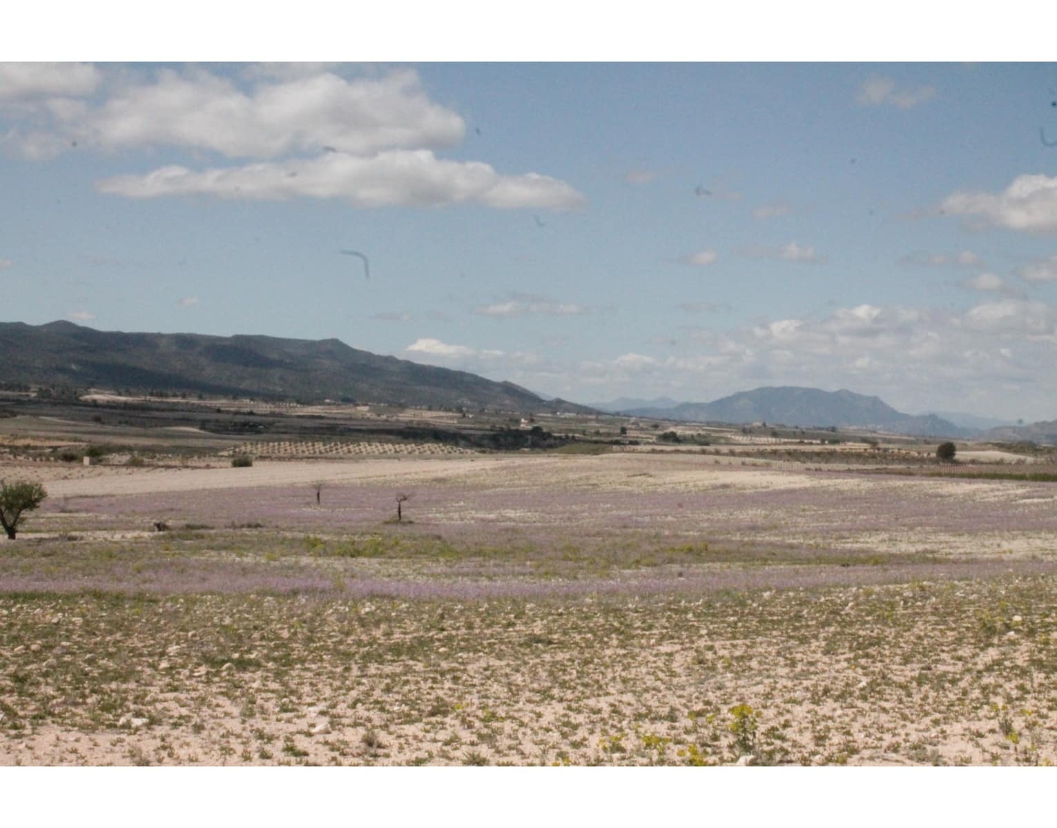 6 sypialnia Finka/Dom wiejski na sprzedaż w Jumilla z basenem - 95 000 € (Ref: 3229601)