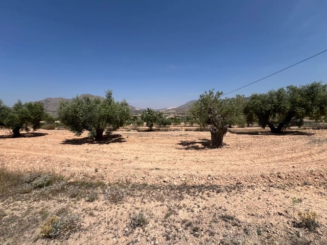 Undeveloped Land for sale in Barbarroja, Orihuela - € 65,000 (Ref: 3229610)