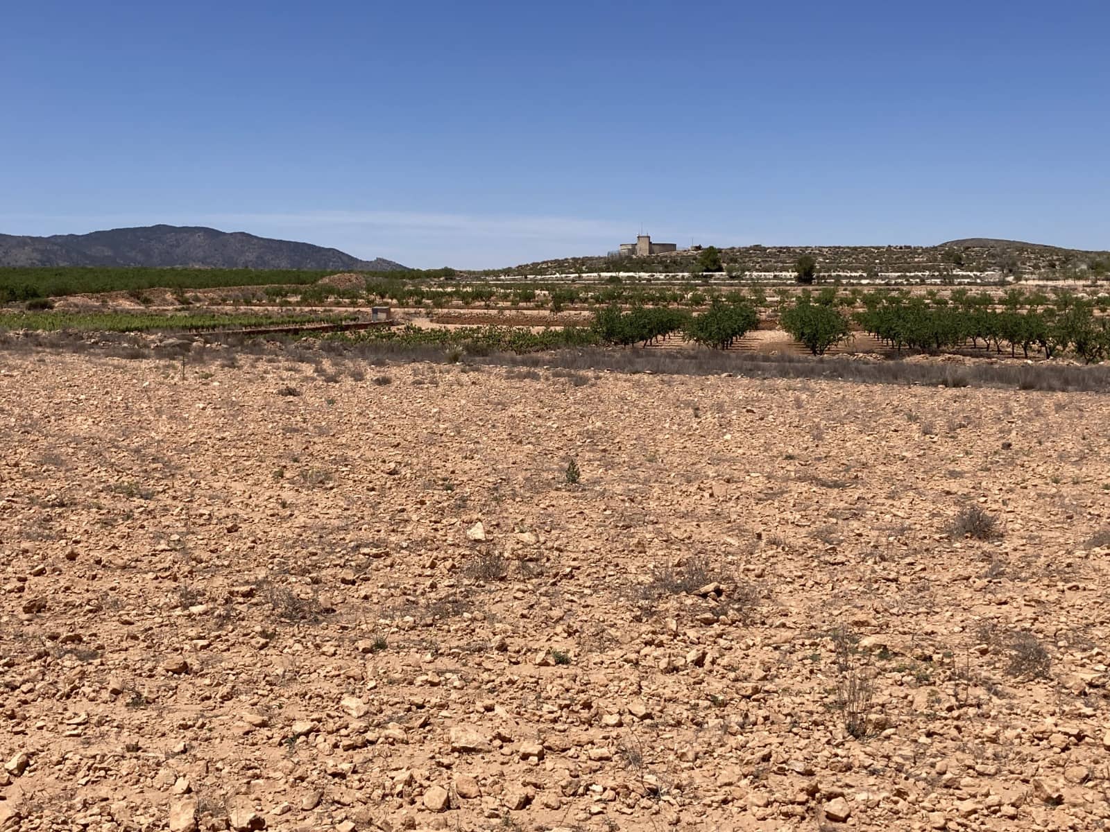 Terre non Aménagée à vendre à Pinoso - 69 500 € (Ref: 3372156)