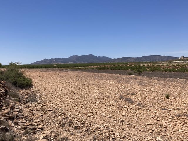 Grond te koop in Pinoso - € 69.500 (Ref: 3372156)