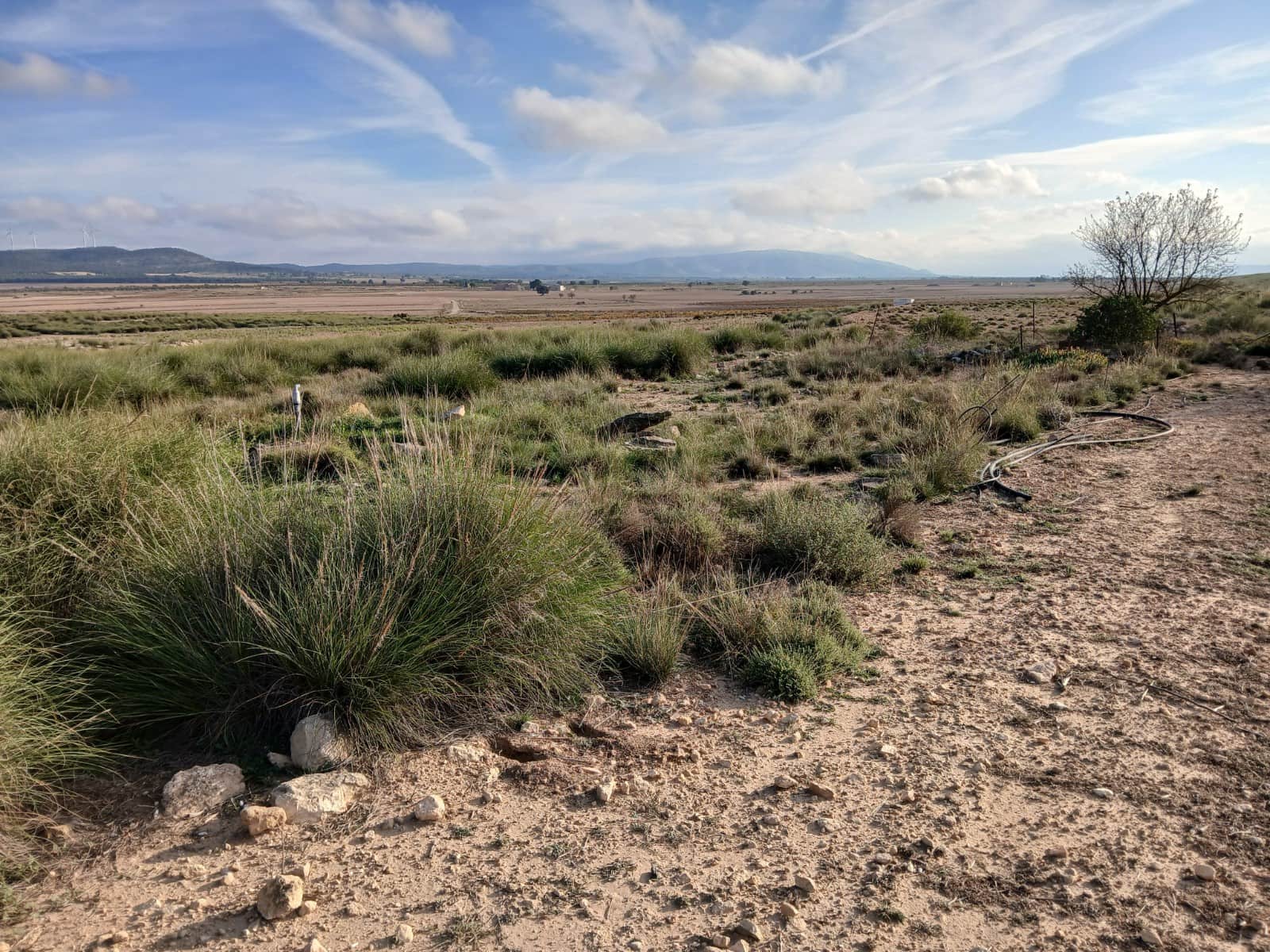 Terre non Aménagée à vendre à Yecla - 28 000 € (Ref: 3392786)