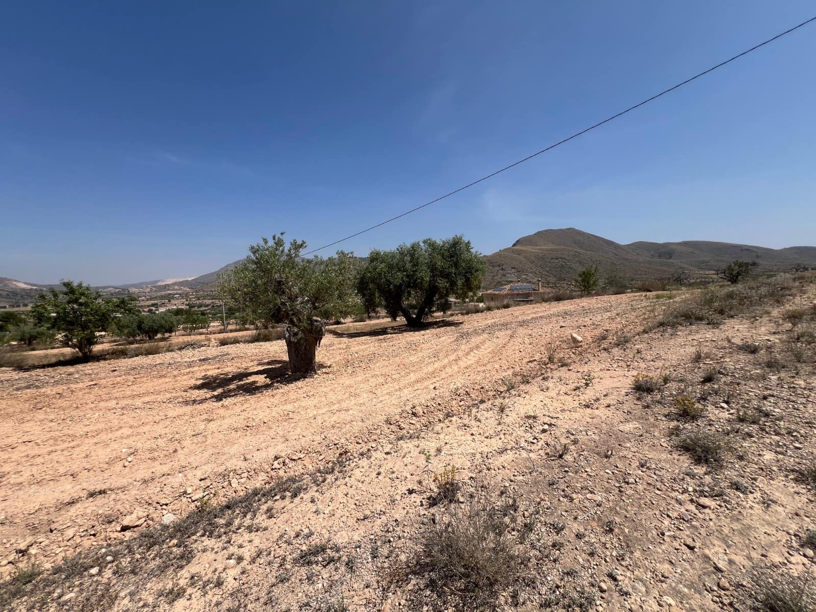 Undeveloped Land for sale in Barbarroja - € 50,000 (Ref: 3611766)