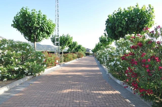 4 bedroom Villa for sale in Villena with pool garage - € 1,250,000 (Ref: 4309518)