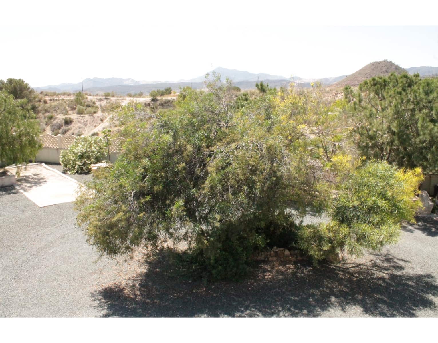 3 soveværelse Villa til salg i Barinas med swimmingpool - € 320.000 (Ref: 4309543)