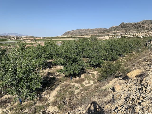 Terreno Não Urbanizado para venda em Monforte del Cid - 65 000 € (Ref: 4309561)