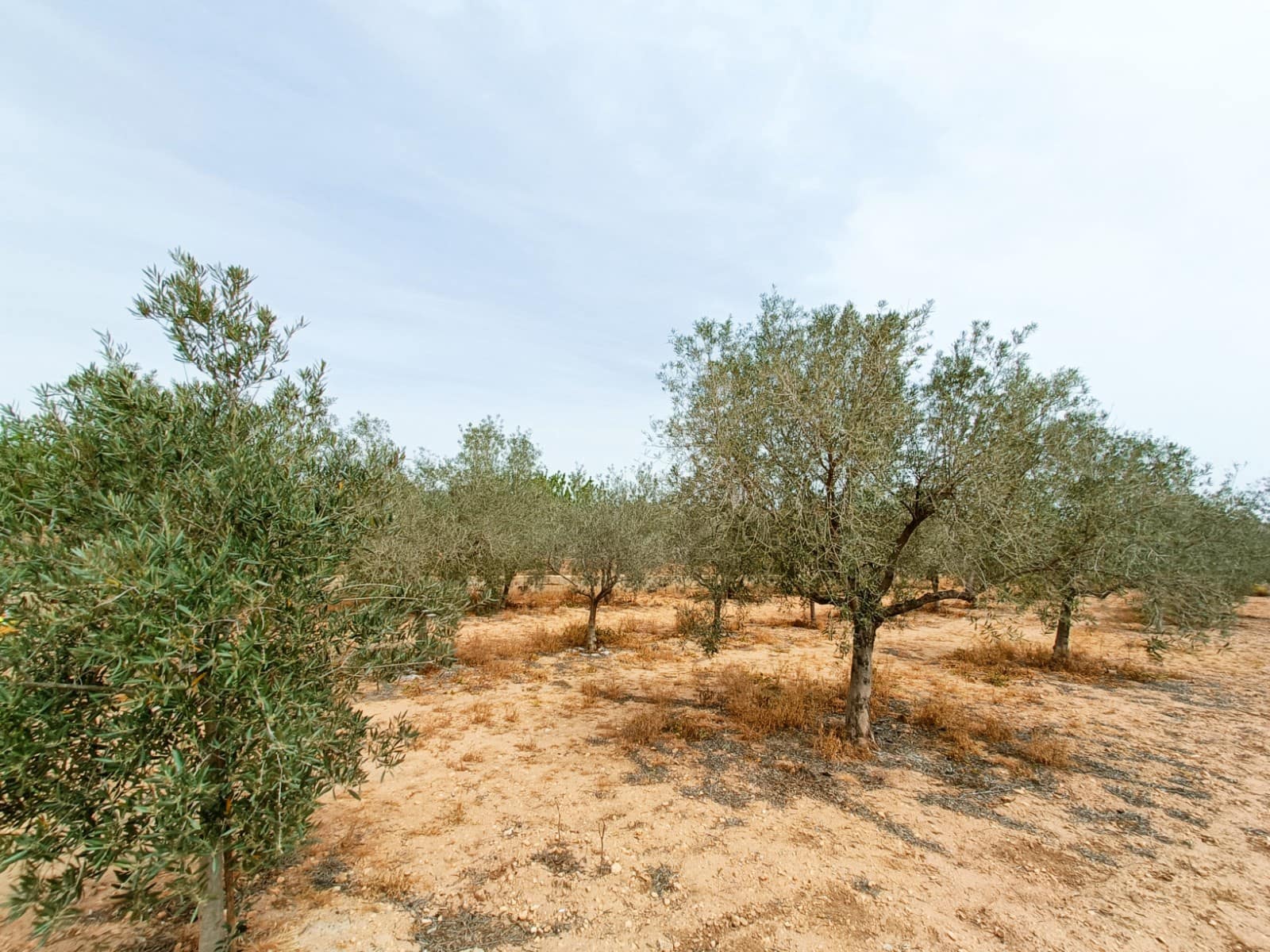 4 soveværelse Villa til salg i Hondon de los Frailes med swimmingpool - € 180.000 (Ref: 4309607)