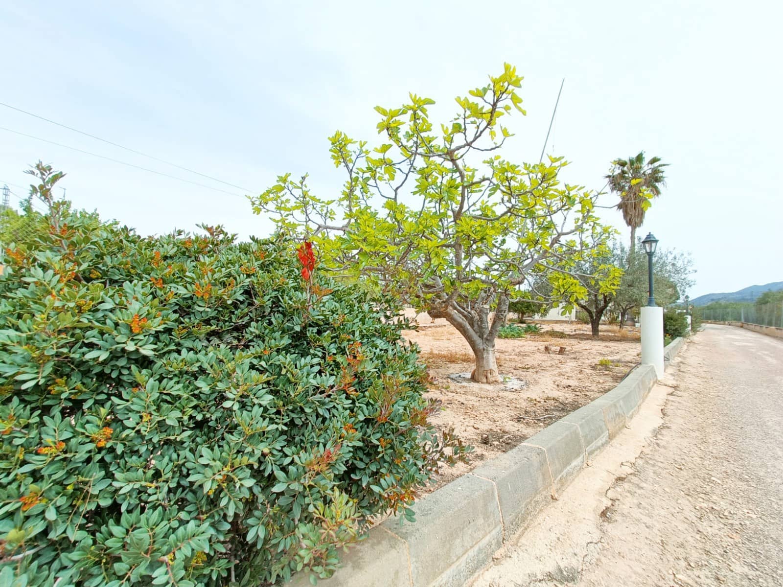 4 soveværelse Villa til salg i Hondon de los Frailes med swimmingpool - € 180.000 (Ref: 4309607)