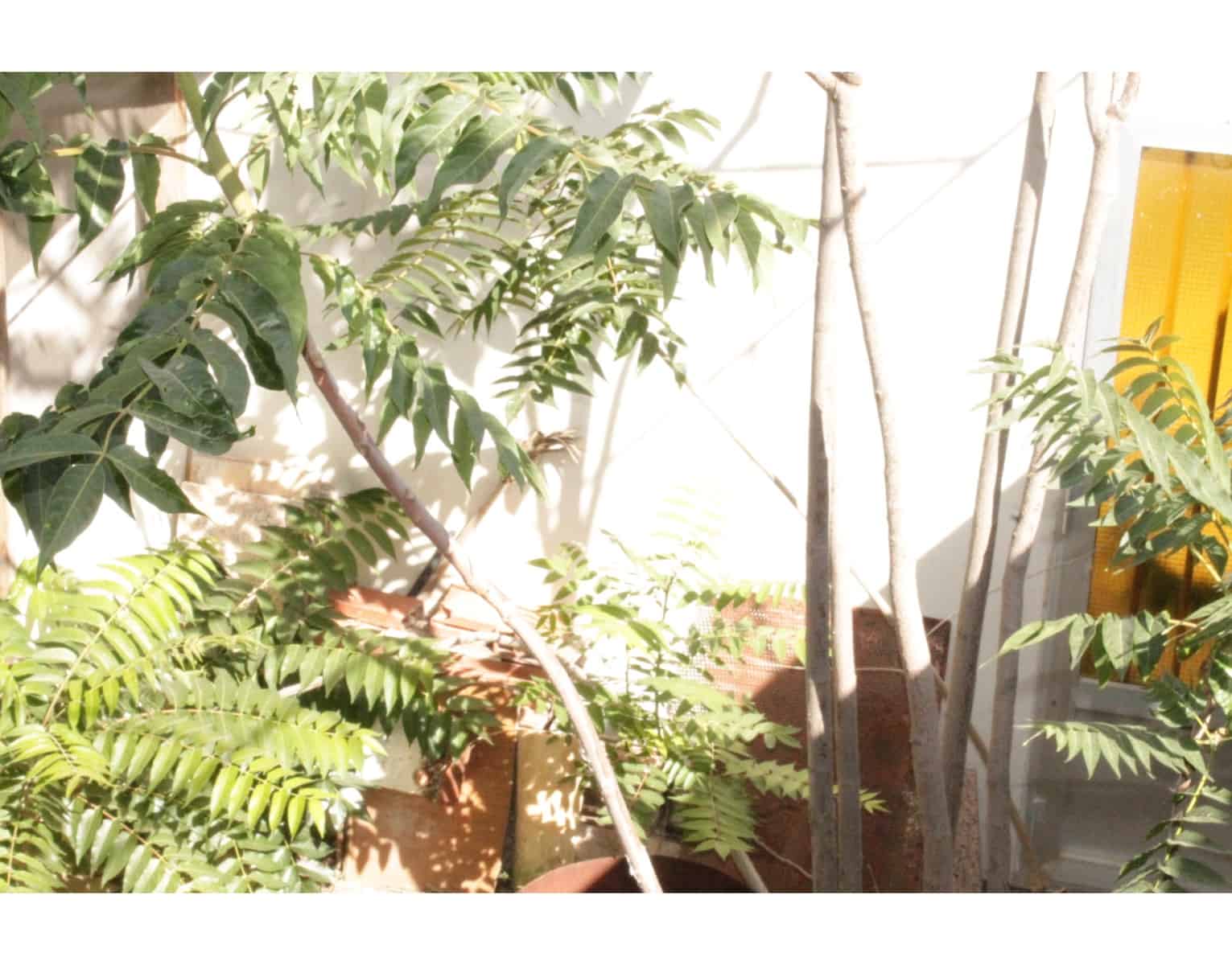 4 soverom Hus til salgs i Yecla med svømmebasseng - € 79 995 (Ref: 4309610)