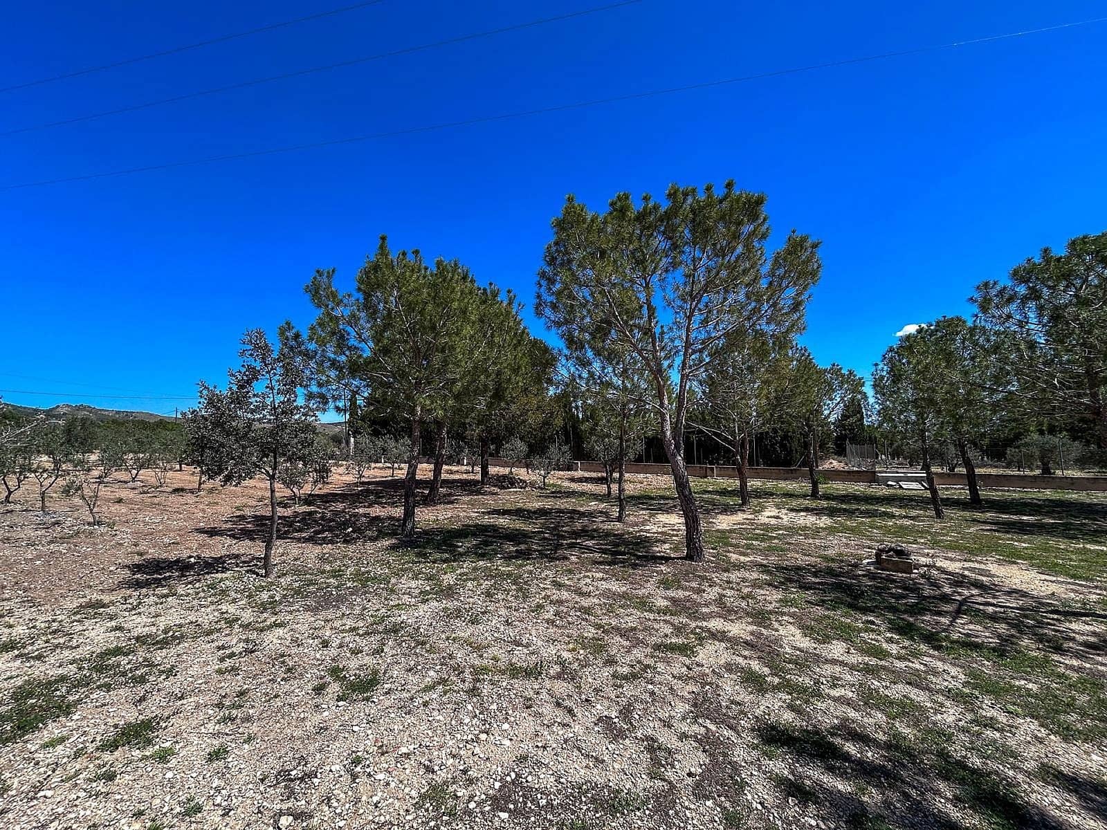 4 soverom Villa til salgs i Yecla med svømmebasseng - € 359 995 (Ref: 4309652)