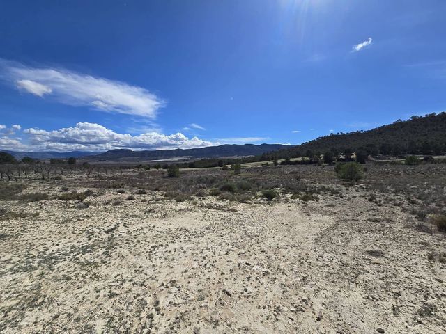 Terreno Non Edificato in vendita in Salinas - 29.995 € (Rif: 4309666)