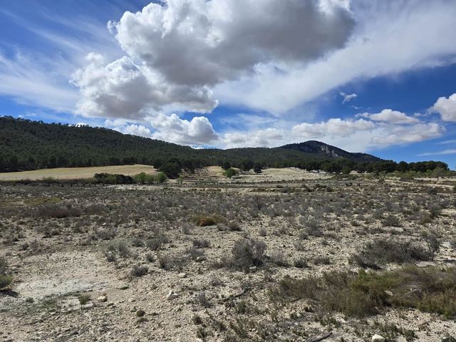 Terreno Non Edificato in vendita in Salinas - 29.995 € (Rif: 4309666)