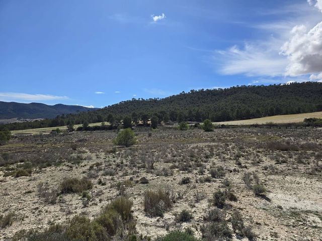 Terreno Non Edificato in vendita in Salinas - 29.995 € (Rif: 4309666)