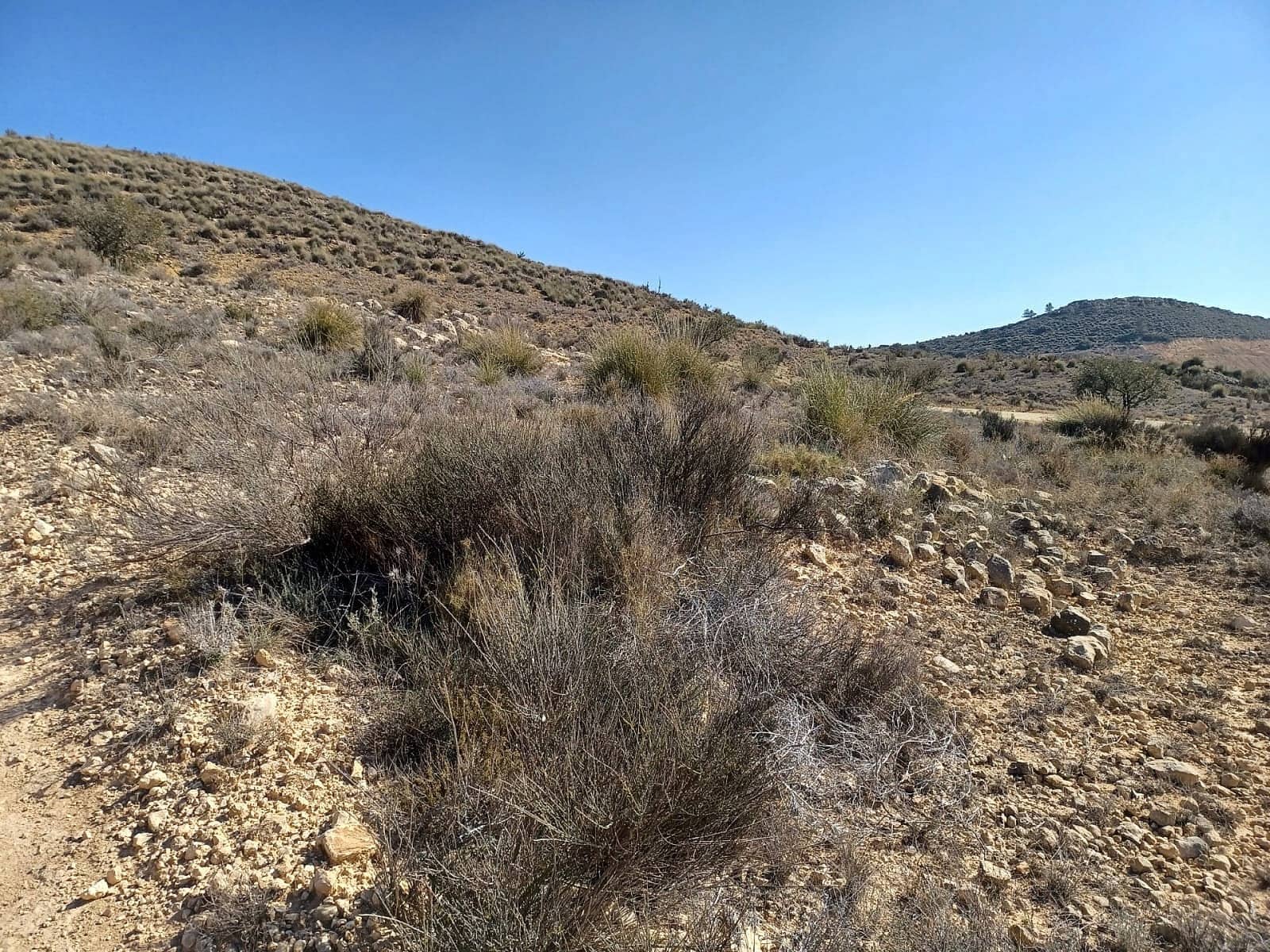 Landgrundstück zu verkaufen in Pinoso - 49.995 € (Ref: 4309688)