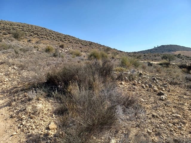 Landgrundstück zu verkaufen in Pinoso - 49.995 € (Ref: 4309688)