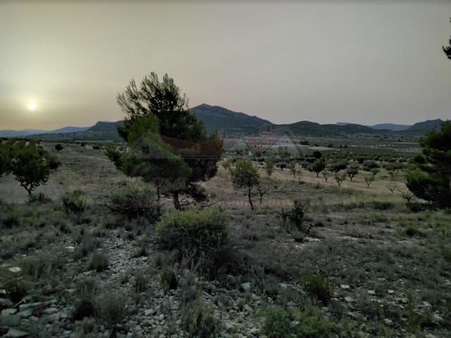 Mark till salu i Salinas - 67 000 € (Ref: 4309755)