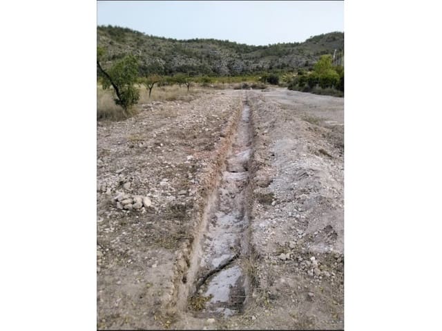 Mark till salu i Salinas - 67 000 € (Ref: 4309755)