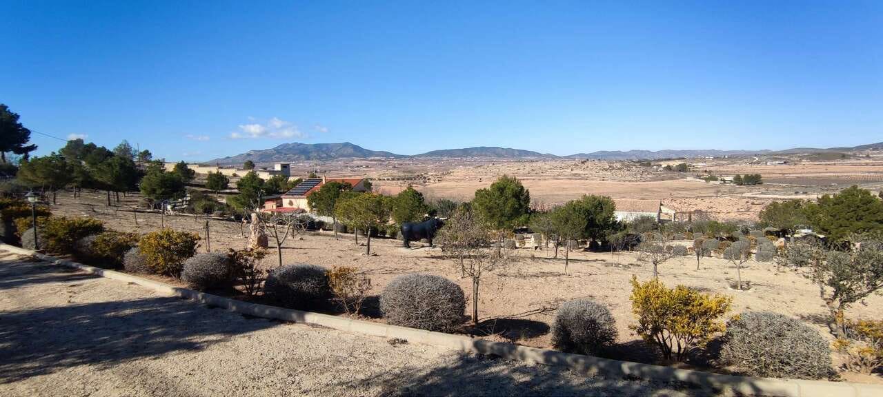 3 bedroom Villa for sale in Pinoso with pool - € 399,995 (Ref: 4309789)