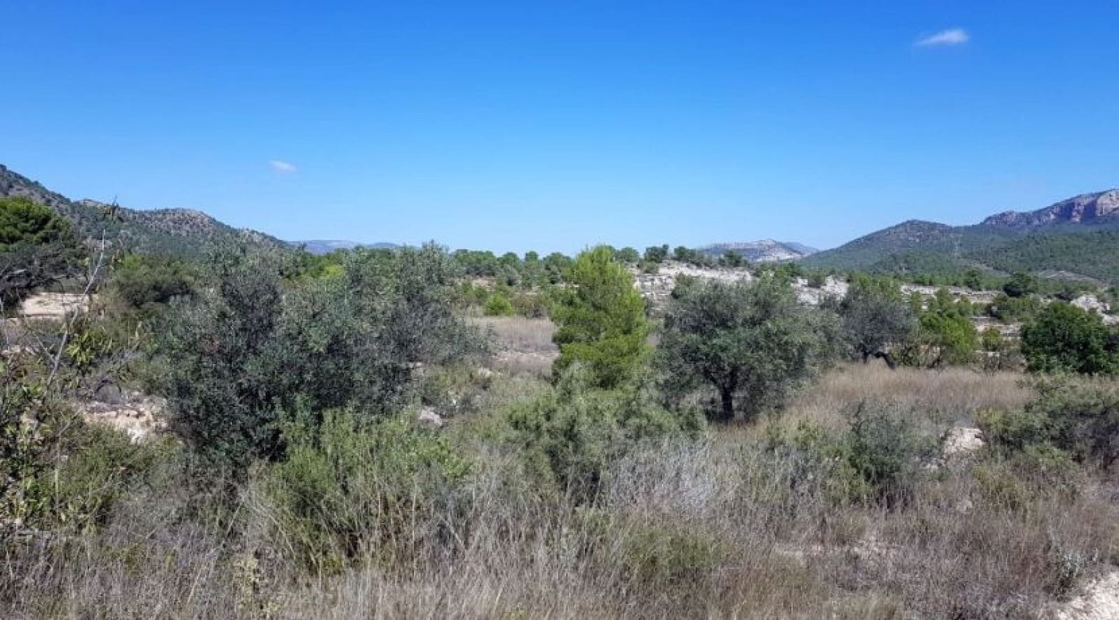 Ubebygd land til salgs i Monovar / Monover - € 39 999 (Ref: 4309808)