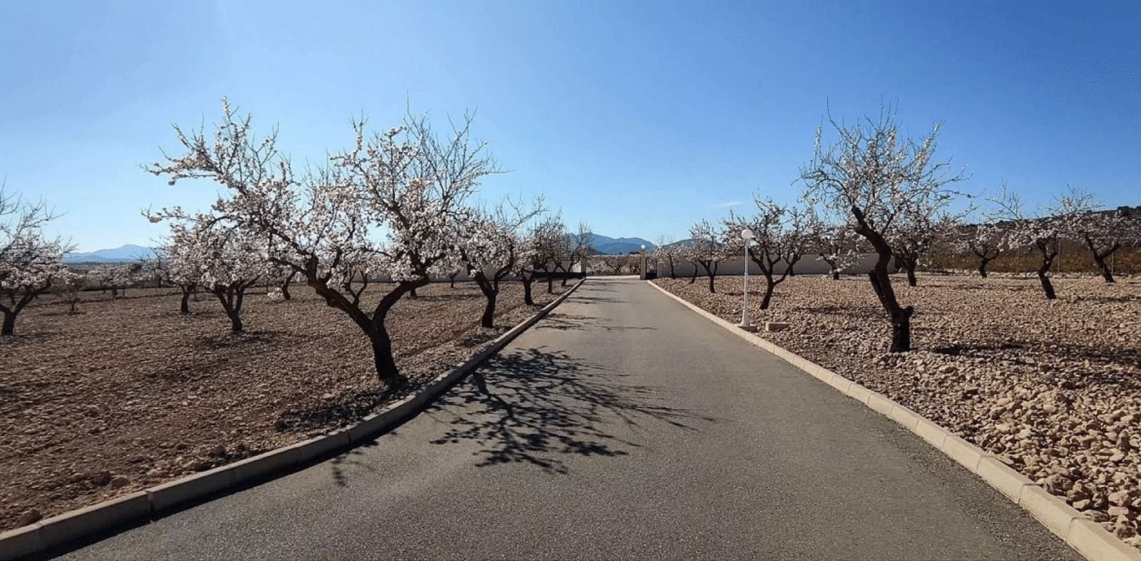 4 bedroom Villa for sale in Pinoso with pool garage - € 475,000 (Ref: 4309810)