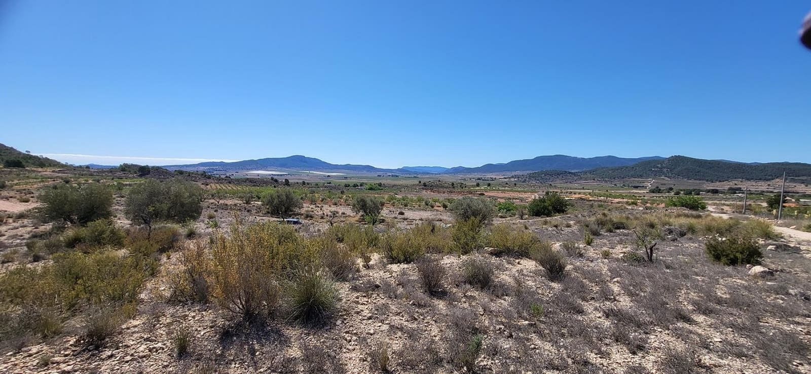 Terre non Aménagée à vendre à Monovar / Monover - 35 000 € (Ref: 4309812)