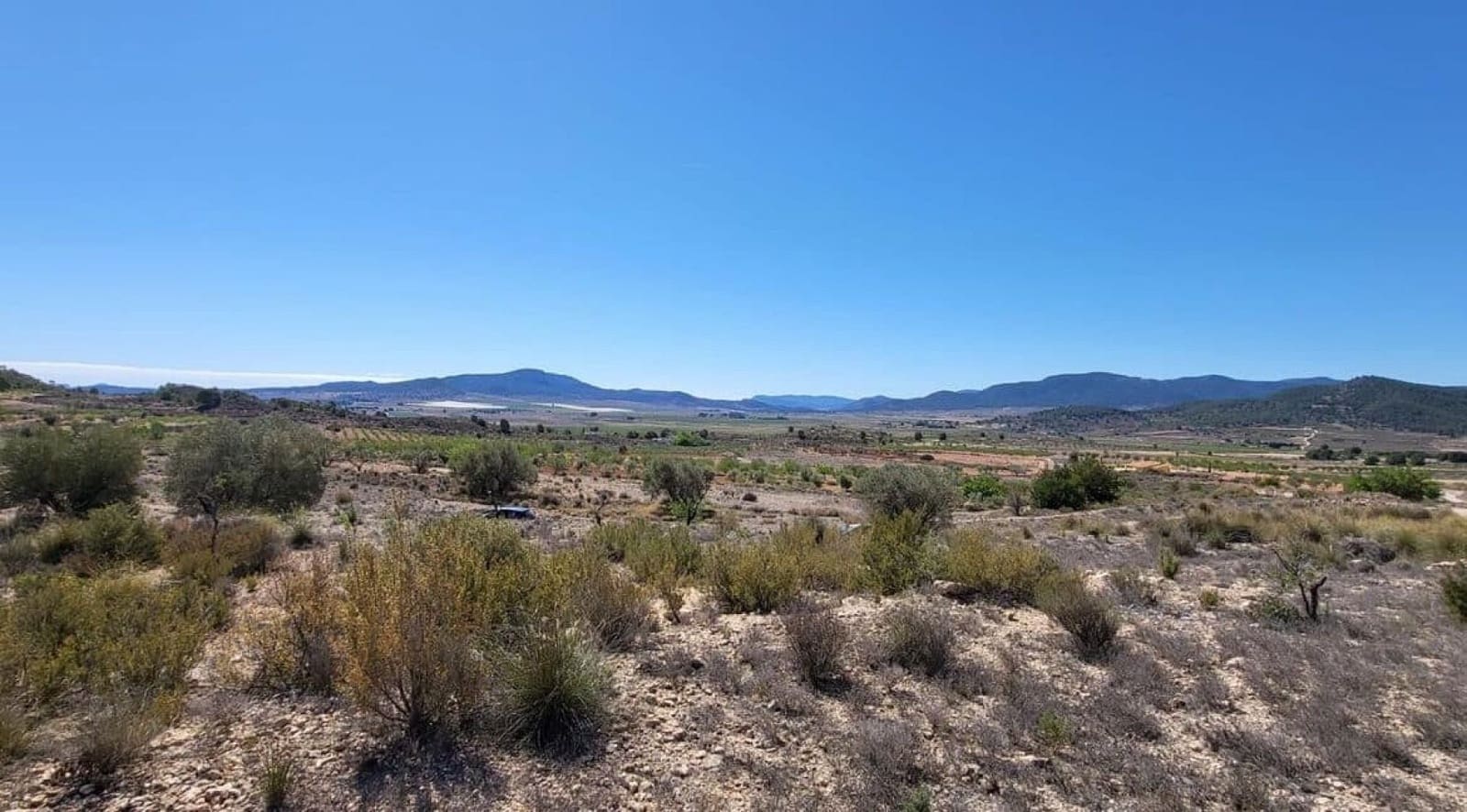 Terre non Aménagée à vendre à Monovar / Monover - 35 000 € (Ref: 4309812)