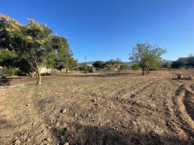 Ubebygd land til salgs i Pinoso - € 44 000 (Ref: 4309838)