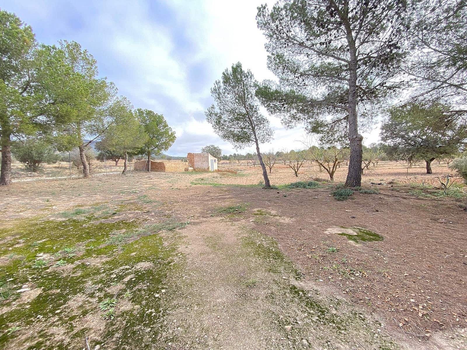 8 slaapkamer Finca/Landhuis te koop in Pinoso met zwembad - € 399.000 (Ref: 4309877)