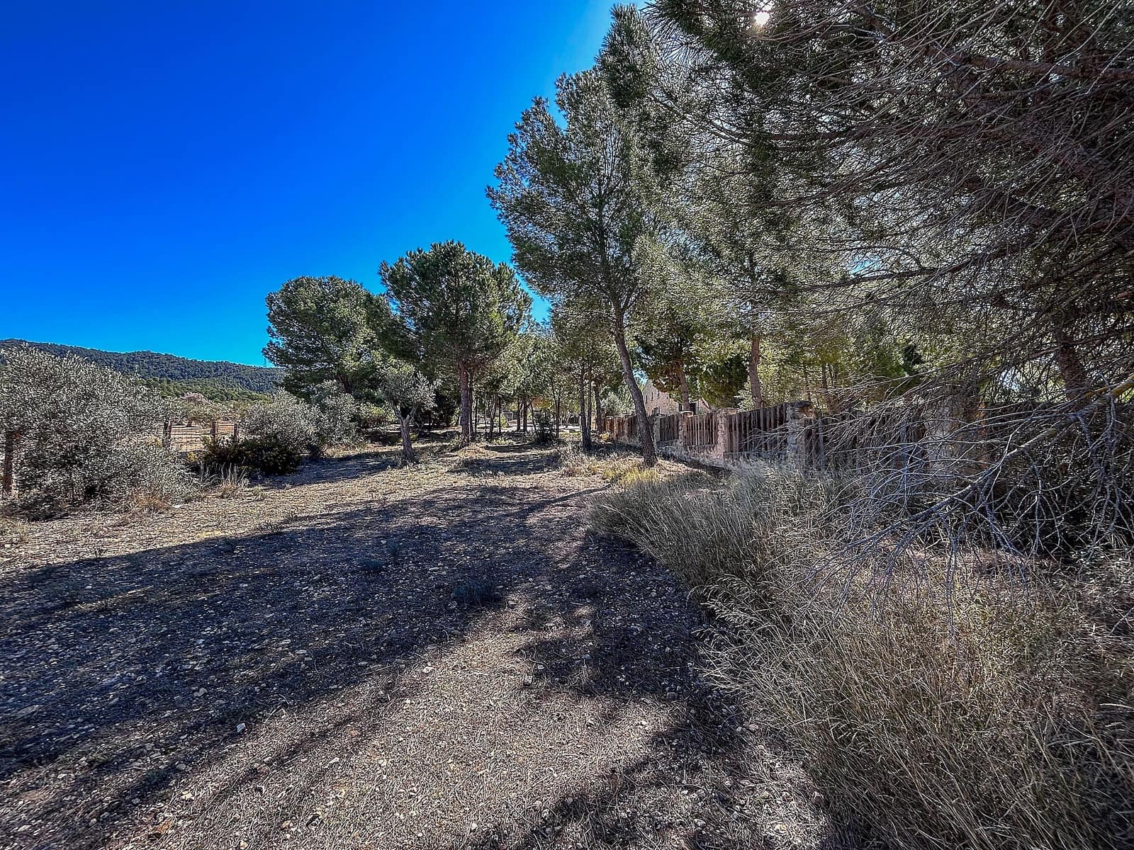 9 chambre Villa/Maison à vendre à Biar avec piscine - 1 000 000 € (Ref: 4309987)