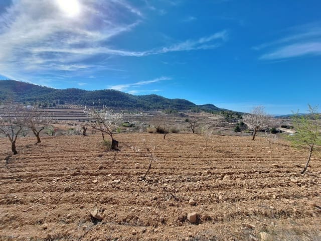 Grond te koop in Pinoso - € 80.000 (Ref: 4332053)