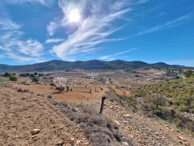 Grond te koop in Pinoso - € 80.000 (Ref: 4332053)