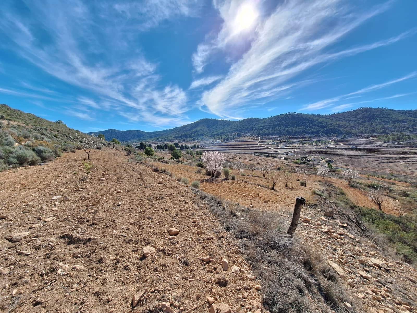 Grond te koop in Pinoso - € 80.000 (Ref: 4332053)