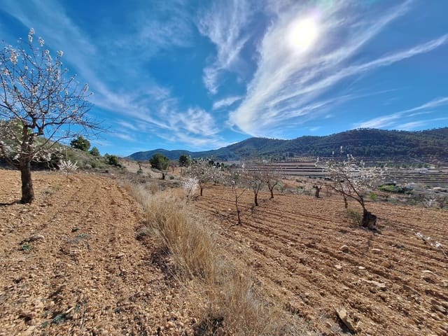 Grond te koop in Pinoso - € 80.000 (Ref: 4332053)