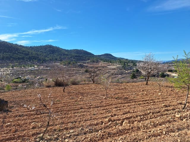 Grond te koop in Pinoso - € 80.000 (Ref: 4332053)