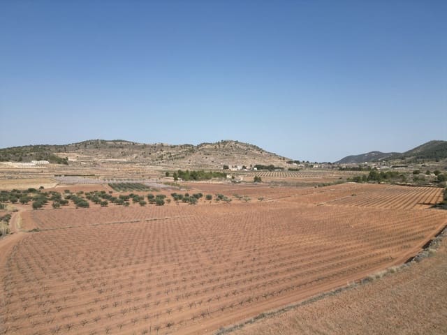 Grond te koop in Pinoso - € 48.000 (Ref: 4334503)