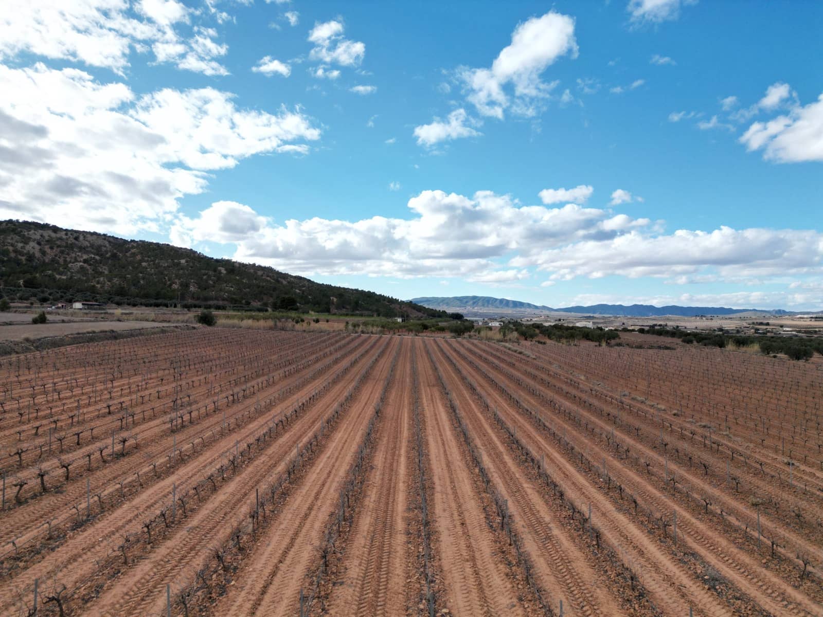 Grond te koop in Pinoso - € 48.000 (Ref: 4334503)