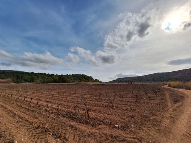 Grond te koop in Pinoso - € 48.000 (Ref: 4334503)