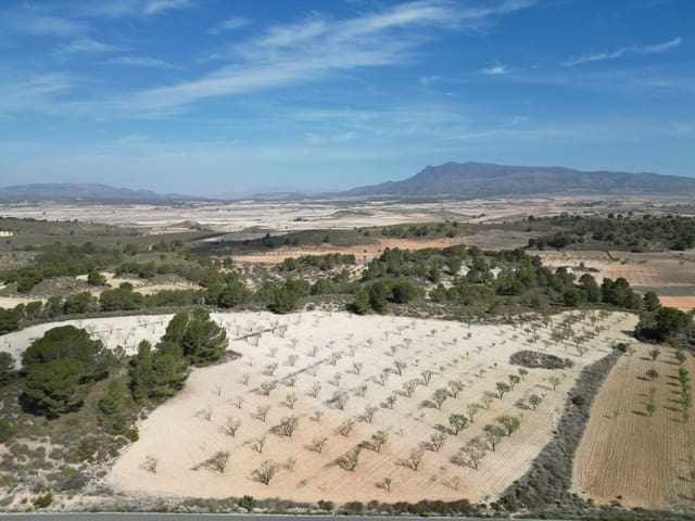 Grunde uden byggetilladelser til salg i La Zarza, Jumilla - € 80.000 (Ref: 4339525)