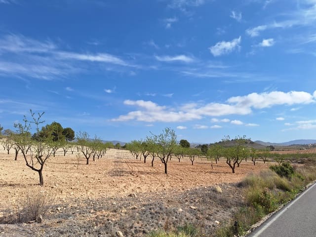 Grunde uden byggetilladelser til salg i La Zarza, Jumilla - € 80.000 (Ref: 4339525)