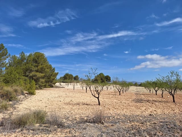 Grunde uden byggetilladelser til salg i La Zarza, Jumilla - € 80.000 (Ref: 4339525)