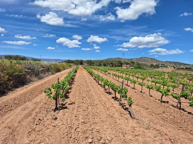 Mark till salu i Pinoso - 60 000 € (Ref: 4356697)