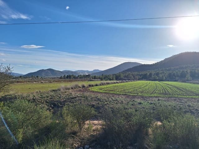 Rakentamaton maa myytävänä paikassa Monóvar / Monóver - 54 950 € (Ref: 4372034)